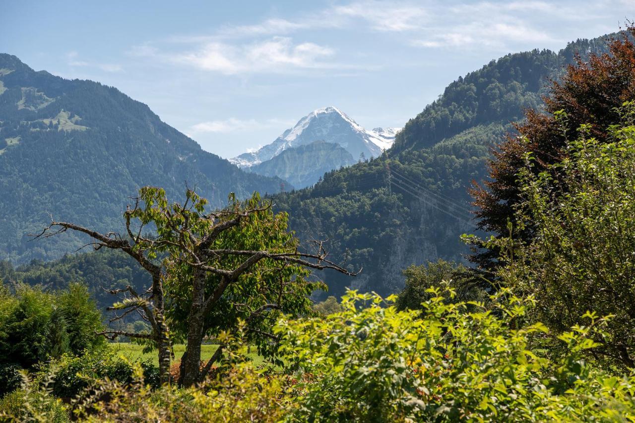 Salzano Basic Rooms Interlaken Unterseen Esterno foto