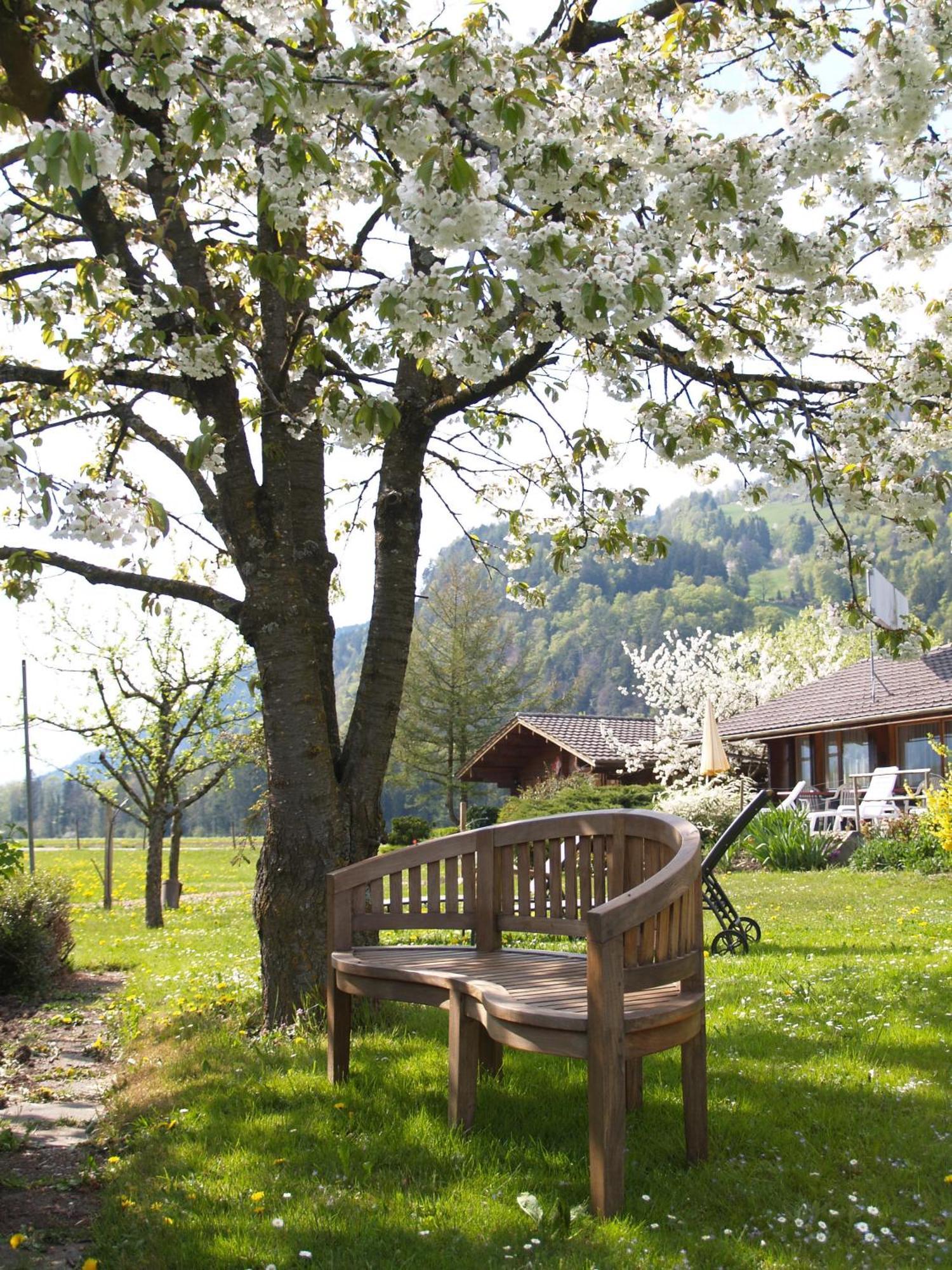 Salzano Basic Rooms Interlaken Unterseen Esterno foto